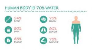 % of water 2